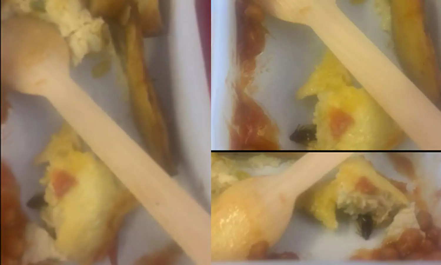 Cockroaches in food on Air India flight; A two-year-old child suffered from food poisoning Cockroaches in food on Air India flight; A two-year-old child suffered from food poisoning