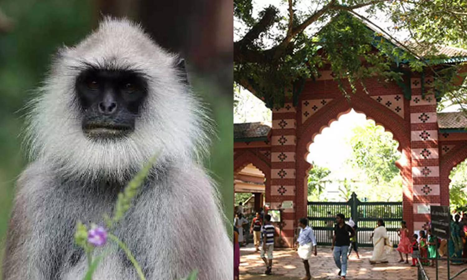 Trivandrum Zoo Will Not Open Tomorrow