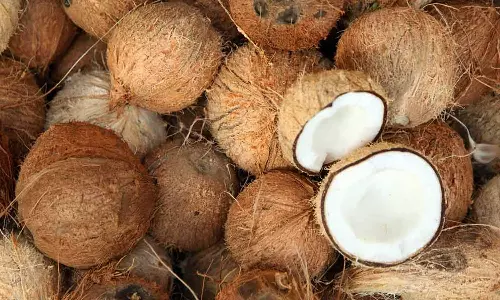 തേങ്ങക്കും വെളിച്ചെണ്ണക്കും സംസ്ഥാനത്ത് വില കുത്തനെ വർധിക്കുന്നു