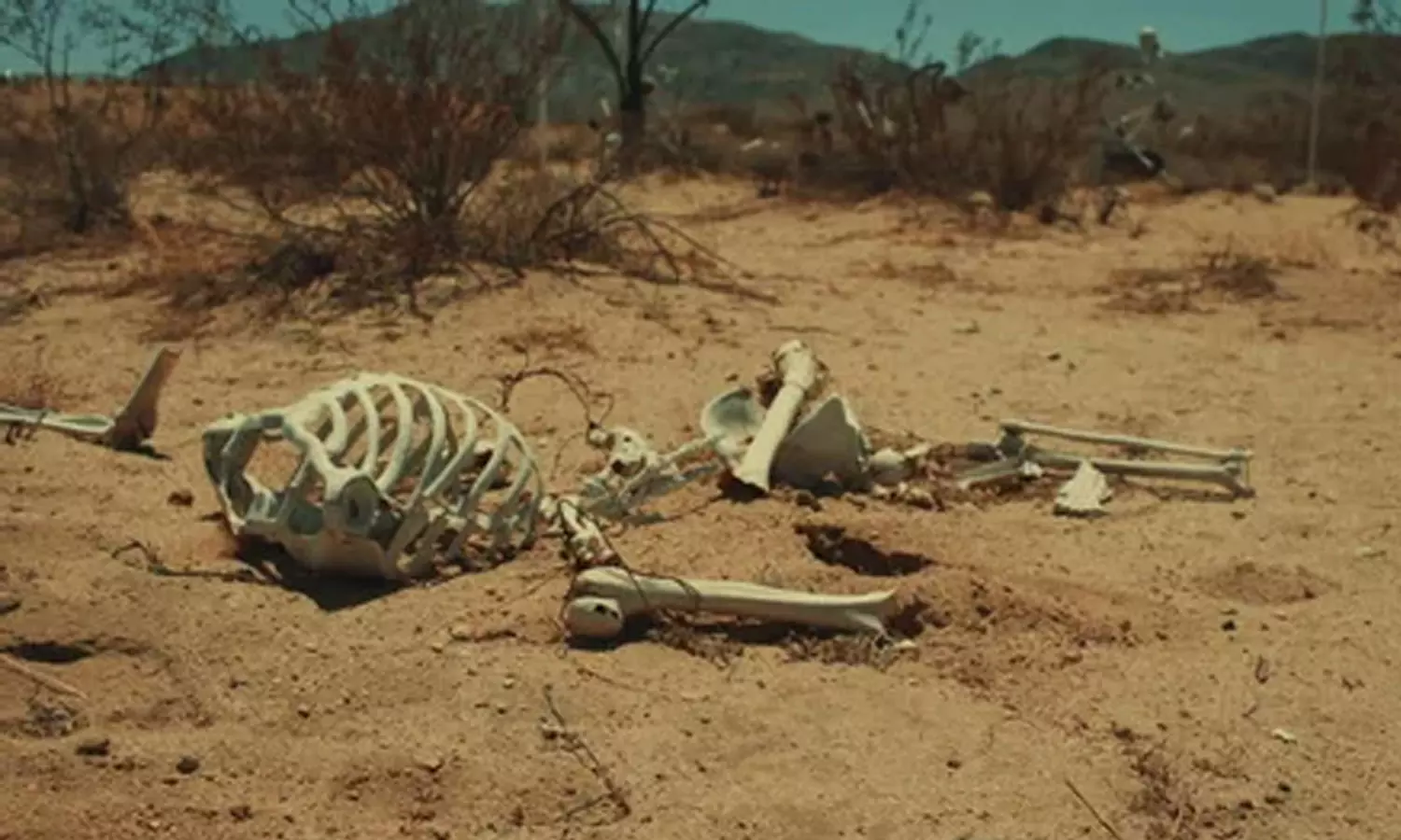 തൃശൂരിൽ കോൾപാടത്ത് അസ്ഥികൂടം കണ്ടെത്തി; മൂന്ന് മാസം പഴക്കമുണ്ടെന്ന് സംശയം തൃശൂരിൽ കോൾപാടത്ത് അസ്ഥികൂടം കണ്ടെത്തി; മൂന്ന് മാസം പഴക്കമുണ്ടെന്ന് സംശയം