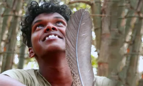 മാരി പകര്‍ത്തുന്ന കാടിന്റെ വന്യത