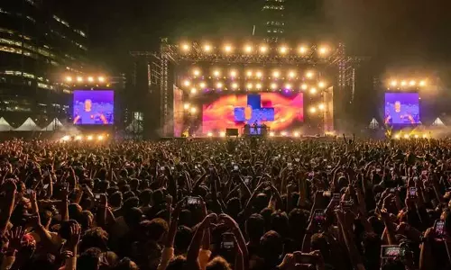 അലൻ വാക്കറുടെ ഡിജെ ഷോയില്‍ മോഷണം പോയ ഫോണുകൾ ഡൽഹിയിലെ ചോർ ബസാറിൽ