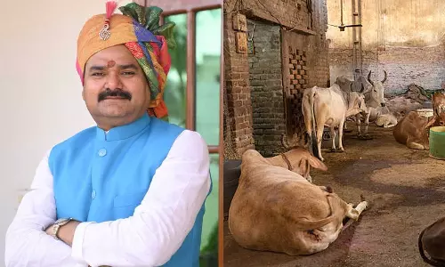 Cancer Can Be Cured By Cleaning Cowshed, Lying There Says UP Minister