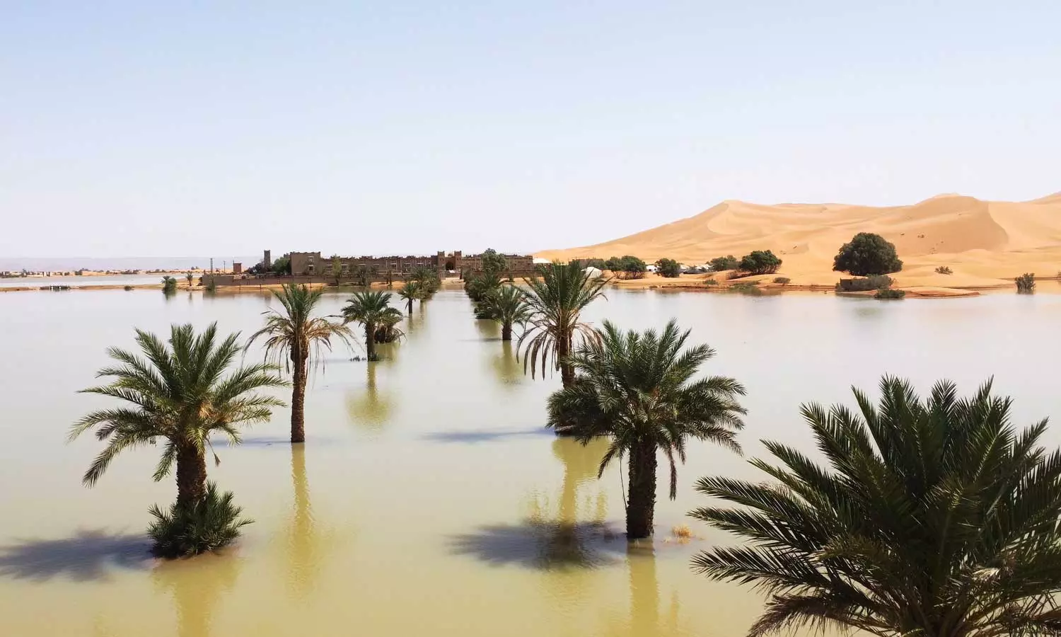 Dramatic images show the first floods in the Sahara in half a century, Sahara flood, desert flood