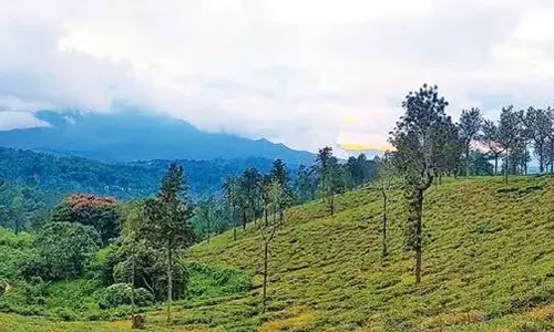 Estate owners files petition in the Kerala High Court against the acquisition of land for the township project in Wayanad, Mundakkai landslide