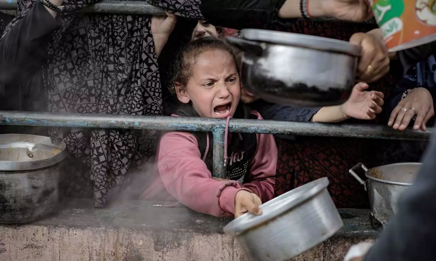 Almost everyone in Gaza going hungry Says WHO