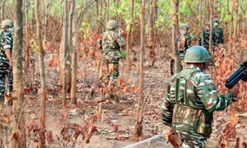 Police kill five Maoists in Maharashtra: Reports, Gadchiroli, Naxalites