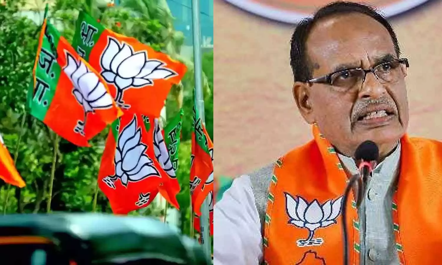 ശിവരാജ് സിങ് ചൗഹാൻ ഒഴിഞ്ഞ മണ്ഡലത്തിൽ മുൻ എംഎൽഎക്കായി ഒരു വിഭാഗം; മധ്യപ്രദേശിൽ ബിജെപിക്ക് തലവേദന