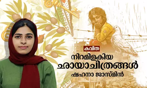 നിറമിളകിയ ഛായാചിത്രങ്ങള്‍ | Poetry