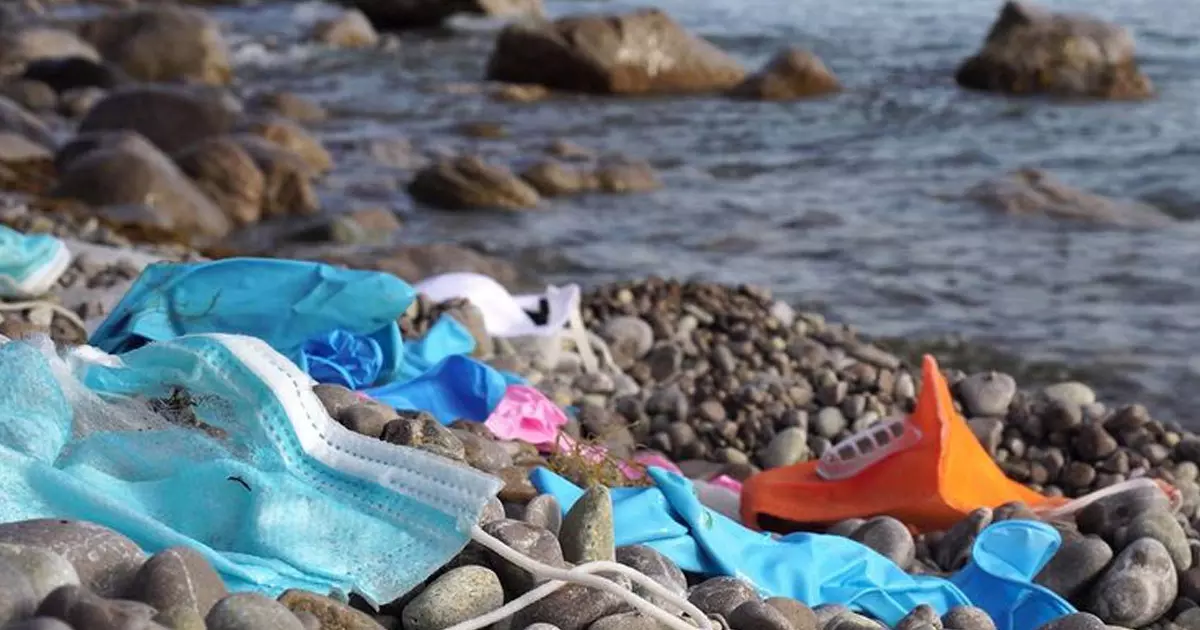 Harsh punishment for violations of environmental laws in Saudi Arabia