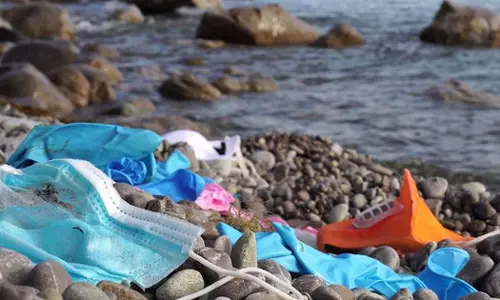 Harsh punishment for violations of environmental laws in Saudi Arabia