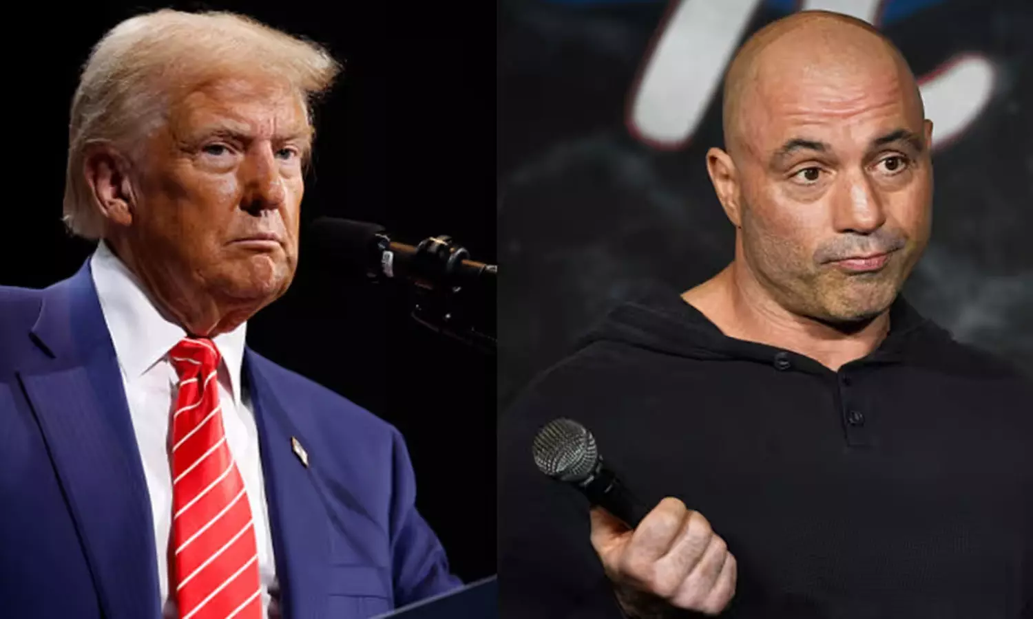 തന്റെ ഏറ്റവും വലിയ തെറ്റ് വെളിപ്പെടുത്തി ഡൊണാൾഡ് ട്രംപ് തന്റെ ഏറ്റവും വലിയ തെറ്റ് വെളിപ്പെടുത്തി ഡൊണാൾഡ് ട്രംപ്