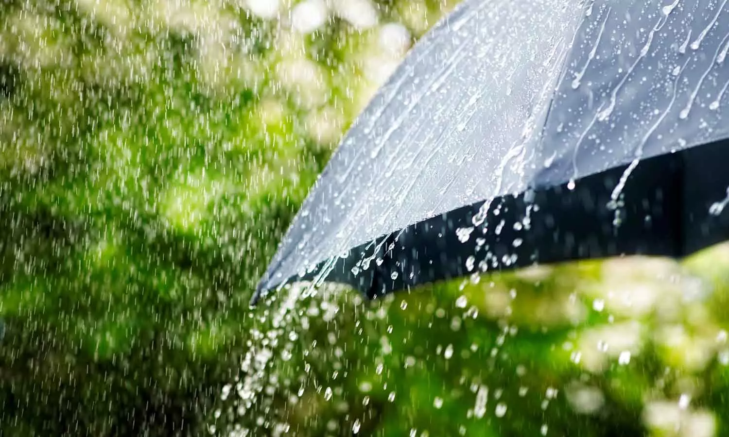 restrictions on Idukki Satram-Pullumedu forest road restrictions on Idukki Satram-Pullumedu forest road