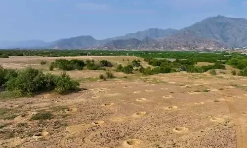 സൗദി കൂടുതൽ പച്ച പുതക്കും; രാജ്യത്ത് രണ്ട് കോടി മരങ്ങൾ നടാൻ പദ്ധതി