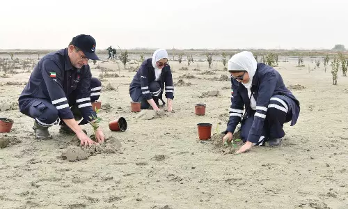 ജഹ്‌റ റിസർവിൽ 1000 കണ്ടൽ തൈകൾ നട്ടുപിടിപ്പിച്ച് കുവൈത്ത് നാഷണൽ പെട്രോളിയം കമ്പനി