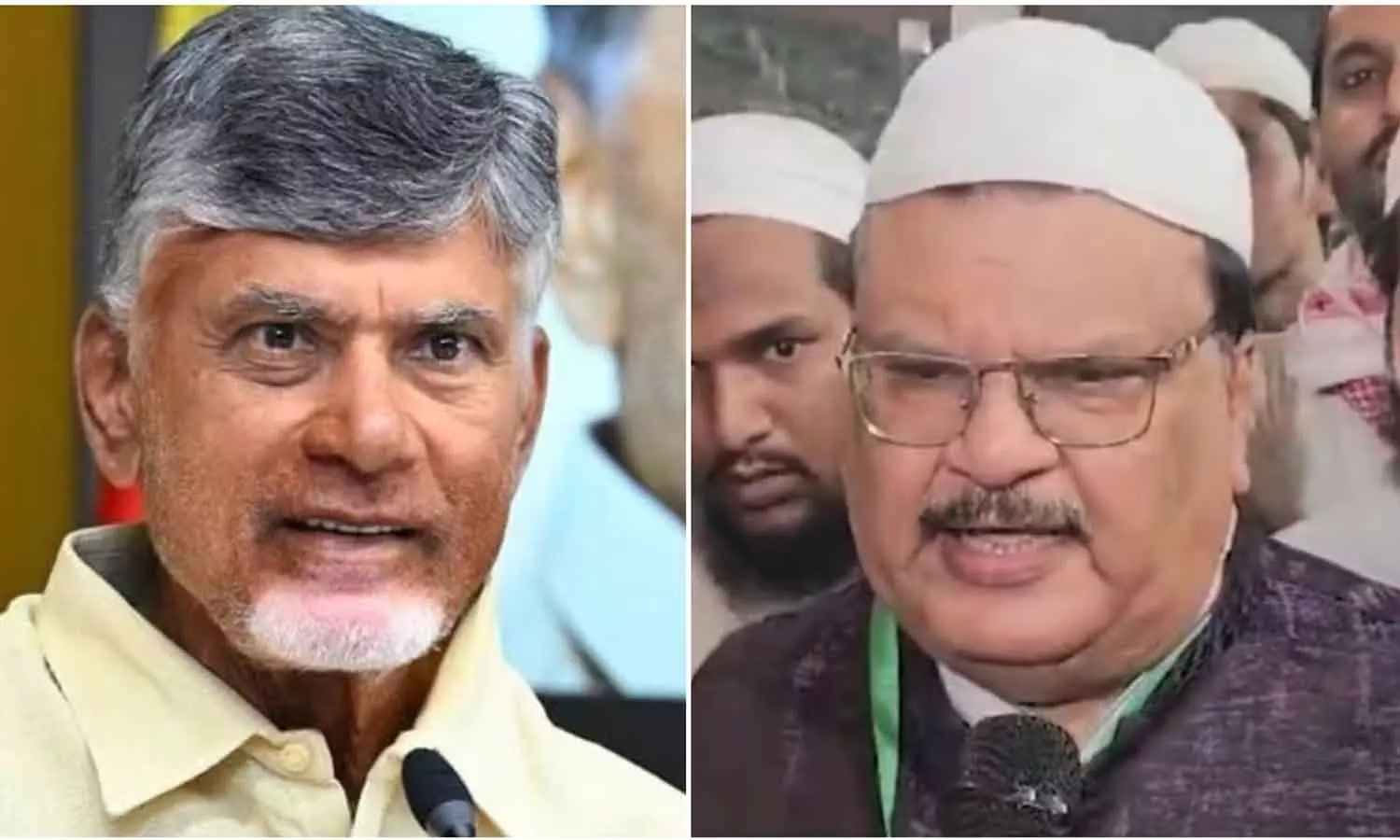 Chandrababu Naidu wont allow any bill that harms Muslims interests: TDP leader