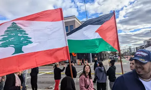 US election 2024: Arab Americans united in grief, divided on strategy