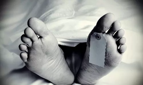 കടന്നൽ  കുത്തേറ്റ് കോട്ടയത്ത് 2 പേർ മരിച്ചു