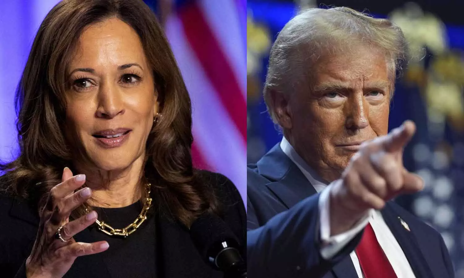 US President Election 2024