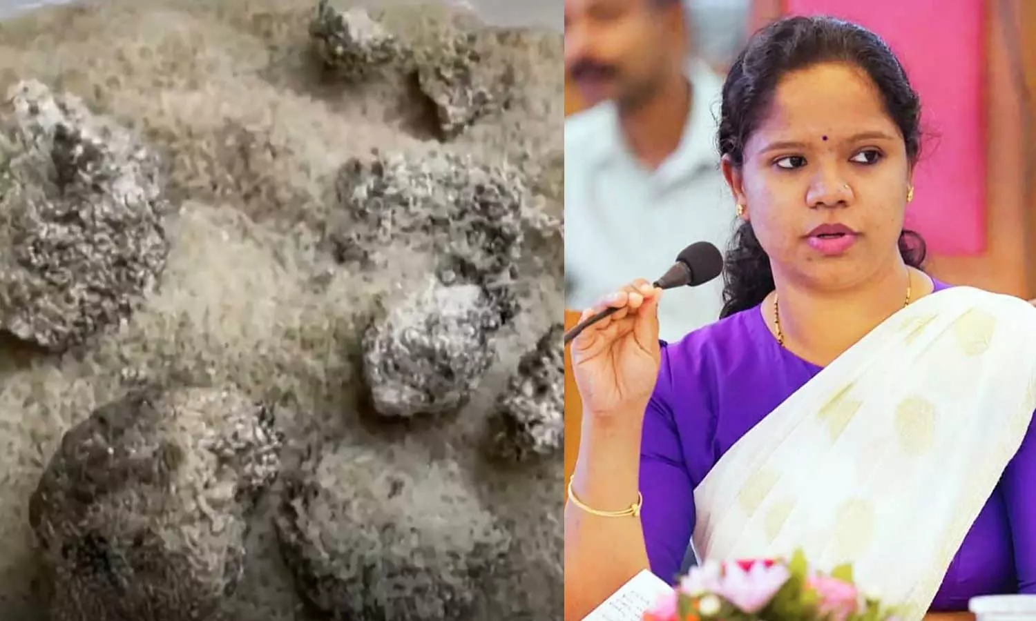 Wayanad District Collector Meghashree orders inquiry into the distribution of stale food items to disaster victims in Meppadi, Wayand food kit row Wayanad District Collector Meghashree orders inquiry into the distribution of stale food items to disaster victims in Meppadi, Wayand food kit row