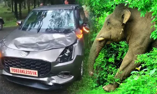 അതിരപ്പിള്ളി വിനോദ സഞ്ചാരികൾക്ക് നേരെ കാട്ടാന ആക്രമണം; കാർ തകർത്തു