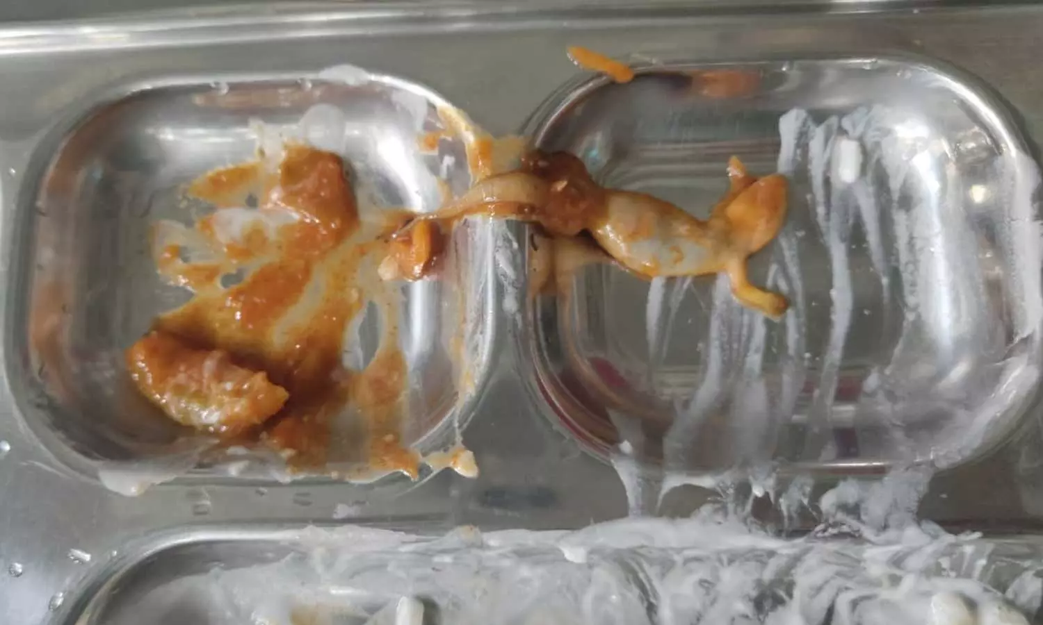 അച്ചാറിൽ ചത്ത പല്ലി; തിരു. ഡിജിറ്റൽ സർവകലാശാല ഹോസ്റ്റൽ മെസ്സിലാണ് സംഭവം അച്ചാറിൽ ചത്ത പല്ലി; തിരു. ഡിജിറ്റൽ സർവകലാശാല ഹോസ്റ്റൽ മെസ്സിലാണ് സംഭവം