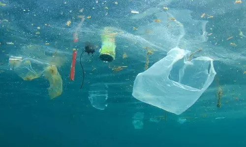 പരിസ്ഥിതി നിയമലംഘനങ്ങൾക്ക് ശിക്ഷ കടുപ്പിച്ച് സൗദിഅറേബ്യ പരിസ്ഥിതി നിയമലംഘനങ്ങൾക്ക് ശിക്ഷ കടുപ്പിച്ച് സൗദിഅറേബ്യ