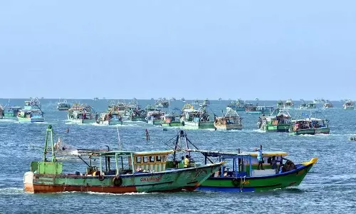 12 തമിഴ് മത്സ്യത്തൊഴിലാളികളെ ശ്രീലങ്കൻ നാവികസേന അറസ്റ്റ് ചെയ്തു