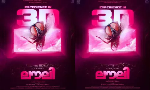 ഓഫാബിക്ക് ശേഷം മലയാളത്തിലെ ഹൈബ്രിഡ് ഫിലിം; ഈച്ച നായിക, മാത്യു നായകൻ, ലൗലി എത്തുന്നത് ത്രീഡിയിൽ, ശ്രദ്ധ നേടി പുതിയ പോസ്റ്റർ