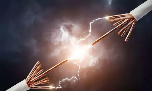 പാലക്കാട് വാളയാറിൽ ഷോക്കേറ്റ് അച്ഛനും മകനും മരിച്ചു