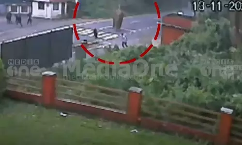 പീരുമേട്ടിൽ വിദ്യാർഥികൾക്ക്   നേരെ പാഞ്ഞടുത്ത് കാട്ടാന;   ബസ് കാത്തുനിന്ന കുട്ടികൾ  രക്ഷപ്പെട്ടത് തലനാരിഴക്ക്