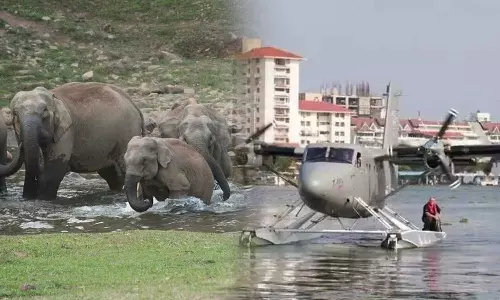 സീപ്ലെയിൻ പദ്ധതിക്കെതിരെ വനംവകുപ്പ്; മാട്ടുപ്പെട്ടി അതീവ പരിസ്ഥിതിലോല പ്രദേശമെന്ന് റിപ്പോർട്ട് സീപ്ലെയിൻ പദ്ധതിക്കെതിരെ വനംവകുപ്പ്; മാട്ടുപ്പെട്ടി അതീവ പരിസ്ഥിതിലോല പ്രദേശമെന്ന് റിപ്പോർട്ട്