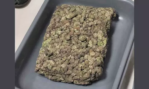 Hybrid ganja worth more than seven crores seized in Nedumbassery