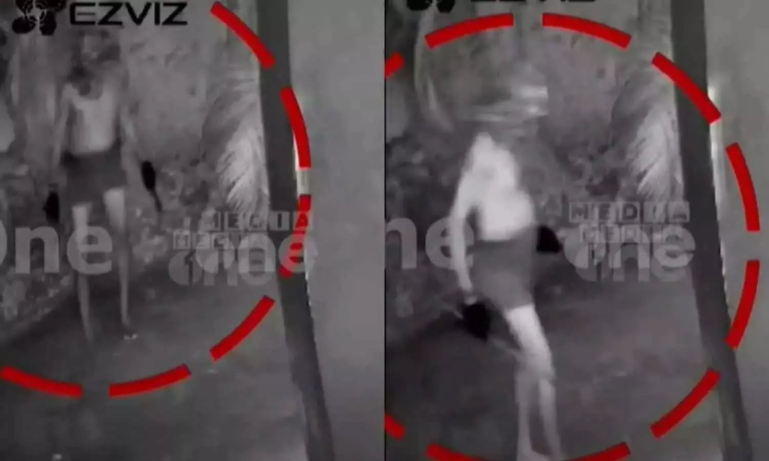 കുറുവ സംഘാംഗം പൊലീസിന്റെ കസ്റ്റഡിയിൽനിന്ന് ചാടിപ്പോയി കുറുവ സംഘാംഗം പൊലീസിന്റെ കസ്റ്റഡിയിൽനിന്ന് ചാടിപ്പോയി