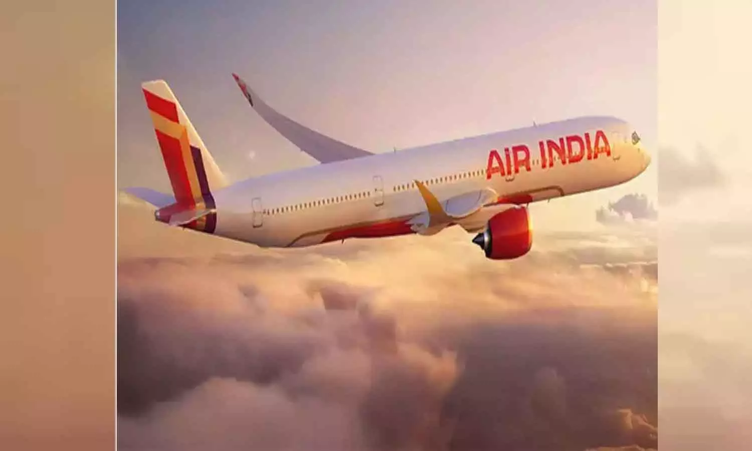 Only Muslim meals to have halal certificate, says Air India