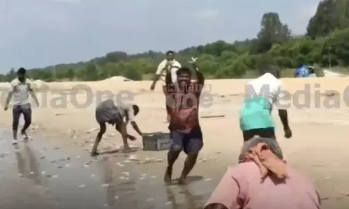 തൃശൂരിൽ വീണ്ടും മത്തിച്ചാകര; കുട്ടകൾ നിറച്ച് മടങ്ങി നാട്ടുകാർ