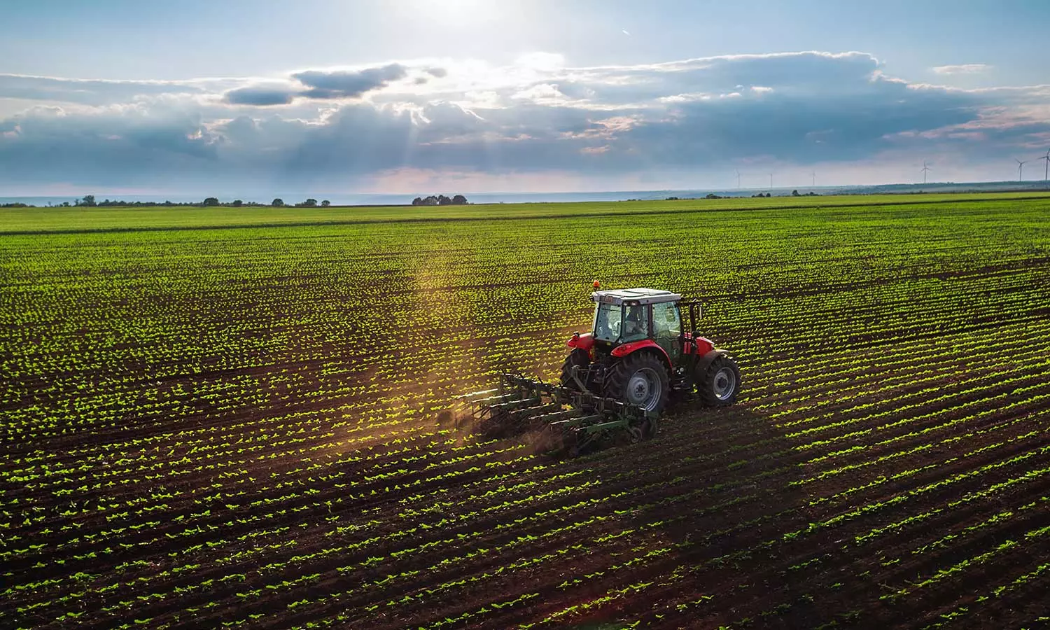 UAE Announces Developing World’s First ChatGPT Tool For Agricultural Community UAE Announces Developing World’s First ChatGPT Tool For Agricultural Community