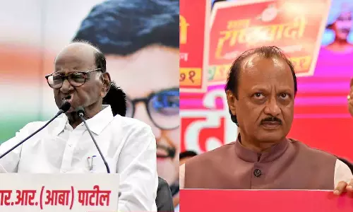 Maharashtra Election 2024