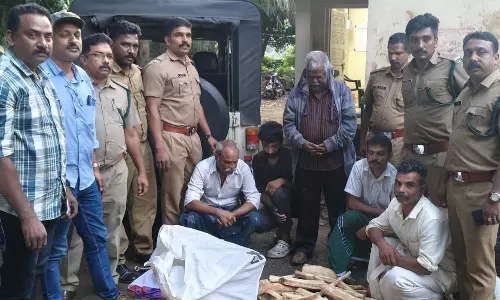 ഇടുക്കിയില് വൻ ചന്ദനവേട്ട; അഞ്ച് അന്തർ സംസ്ഥാന മോഷ്ടാക്കള് പിടിയില് ഇടുക്കിയില് വൻ ചന്ദനവേട്ട; അഞ്ച് അന്തർ സംസ്ഥാന മോഷ്ടാക്കള് പിടിയില്