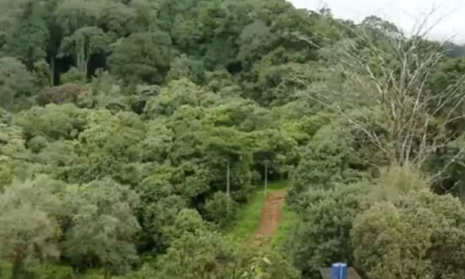 Sabarimala pilgrims get stuck in Pullumedu forest, Sabarimala 2024