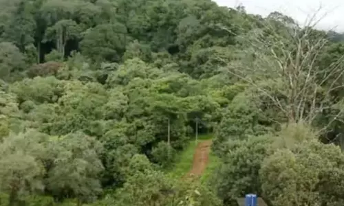 Sabarimala pilgrims get stuck in Pullumedu forest, Sabarimala 2024