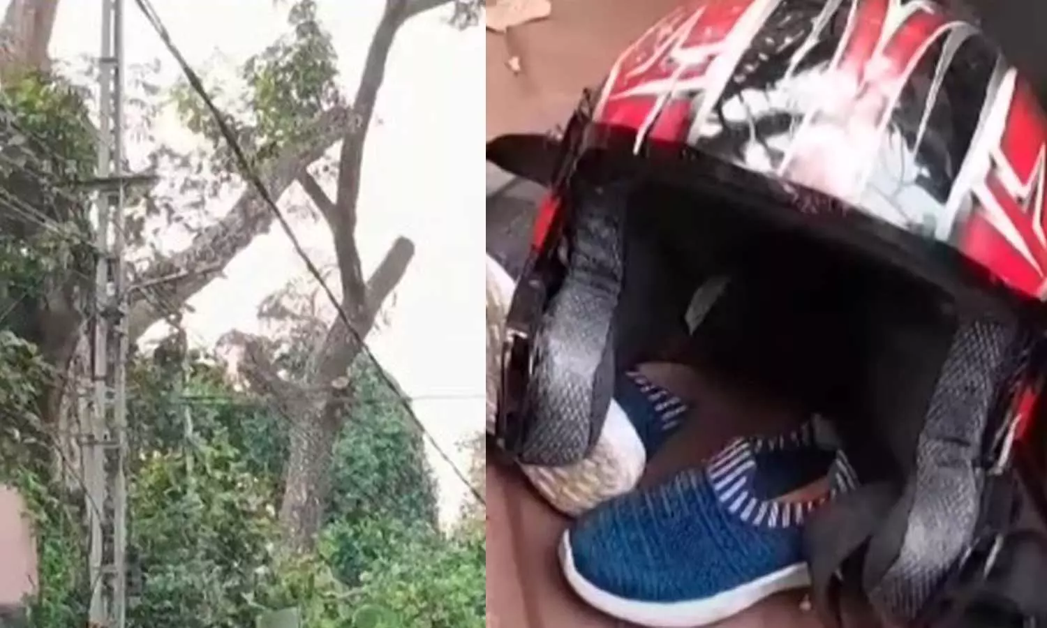 റോഡിന് കുറുകെ കെട്ടിയ കയർ കഴുത്തിൽ കുരുങ്ങി ബൈക്ക് യാത്രികൻ മരിച്ചു