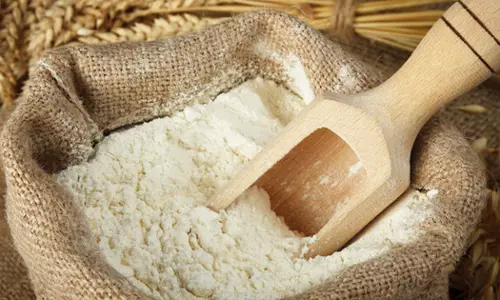 Saudi has given permission to export food flour Saudi has given permission to export food flour