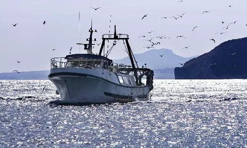 മത്സ്യമേഖലയിൽ വൻ പുരോഗതി കൈവരിച്ച് ഒമാൻ