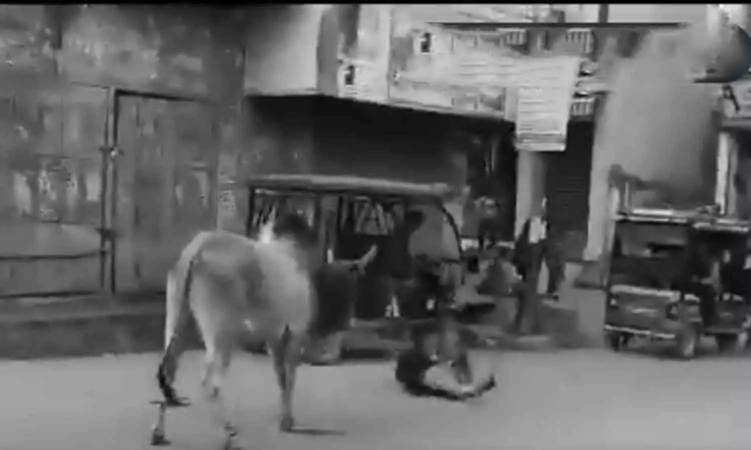Stray Bull Injures 15 In Uttar Pradesh