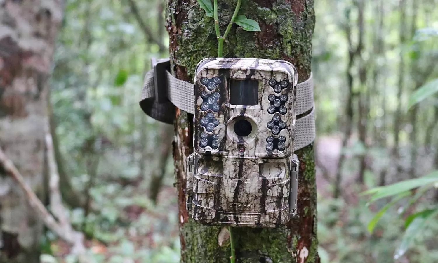 സംരക്ഷിതവനത്തിലെ നിരീക്ഷണക്യാമറകളിൽ സ്ത്രീകളുടെ സ്വകാര്യദൃശ്യങ്ങൾ; ക്യാമറ നശിപ്പിച്ച് ഗ്രാമീണർ