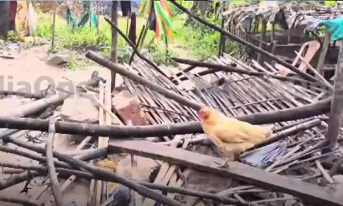 വയനാട് ആദിവാസികളുടെ കുടിലുകൾ പൊളിച്ച സംഭവം; സെക്ഷൻ ഫോറസ്റ്റ് ഓഫീസർക്ക് സസ്​പെൻഷൻ