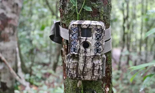 സംരക്ഷിതവനത്തിലെ നിരീക്ഷണക്യാമറകളിൽ സ്ത്രീകളുടെ സ്വകാര്യദൃശ്യങ്ങൾ; ക്യാമറ നശിപ്പിച്ച് ഗ്രാമീണർ