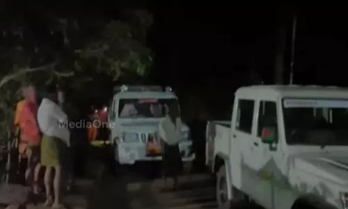 കോതമംഗലത്ത് പശുവിനെ തിരഞ്ഞുപോയ മൂന്ന് സ്ത്രീകളെ വനത്തിൽ കാണാതായി