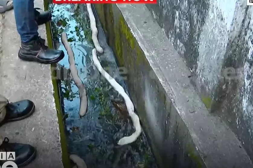 Diesel leakage from HPCL depot